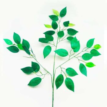 Rama Hojas Ficus/cod. 200-m357