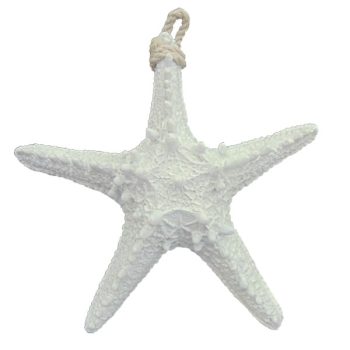 Estrella Mar Mediana /Cod. 237-M106M