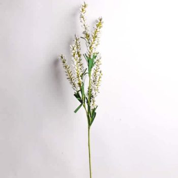 Rama Amaranthus White /cod. 100-9311-68