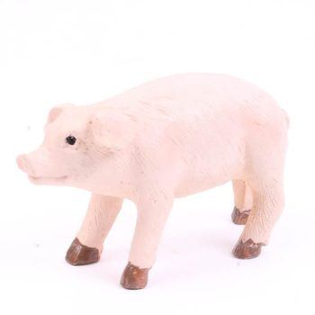 Cerdo /cod. 164-1595028