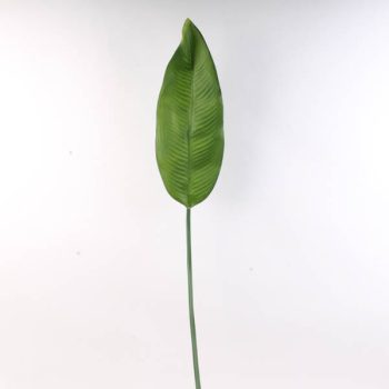 Hoja Grande Alargada Green /cod. 200-sa44y