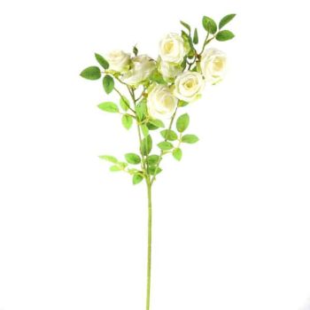 Rama Rositas White /Cod. 200-Frr01-68