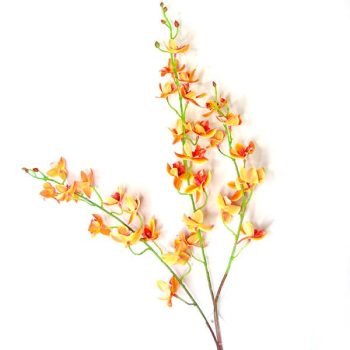 Rama Mini Orquideas Orange/cod. 200-wro-15