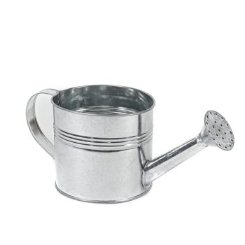 Regadera Metal /Cod. 212-15027