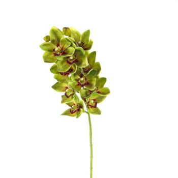 Rama Orquideas Lt Green/cod. 200-m008-13