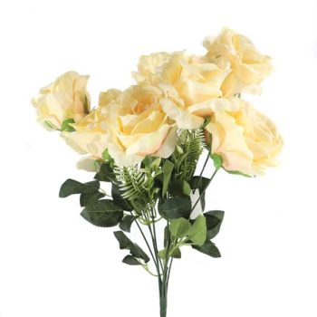 Pick Rosas Champagne /Cod. 200-B39-Ch