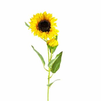 Girasol Amarillo Con Boton /Cod. 200-3588-18