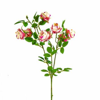 Rama Rositas Pink /Cod. 200-Frr01-10