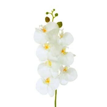 Rama Orquidea Latex White Yellow/cod. 200-m016-18