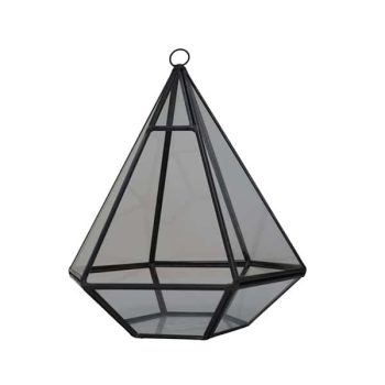 Terrarium Metal Hexagonal /Cod. 210-Vv02