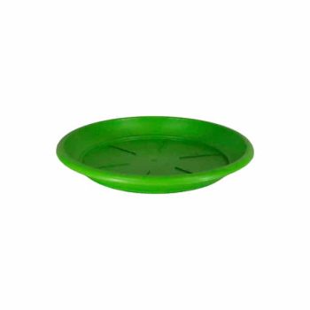 Plato Siena 27 Cm Lime /Cod. 69-Sts00027-160