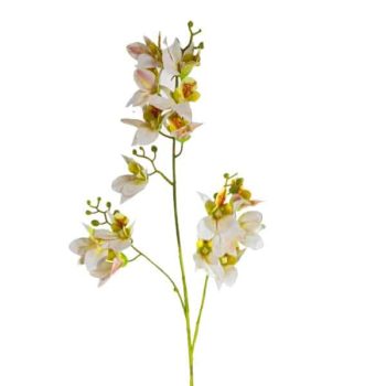 Orquidea Pink /cod. 200-22053-10
