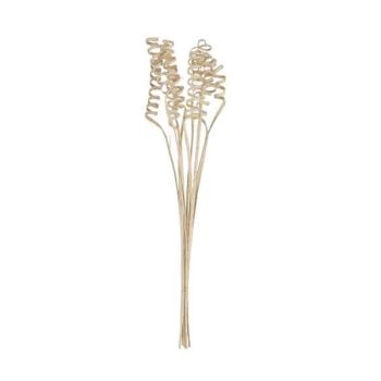 Ramo 10pcs Cane Cone Spring 45cm Bleached /cod. 710-10127-68