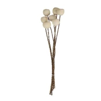 Ramo De Bell Cup 60Cm 7Pcs Bleached /Cod. 710-10173-68