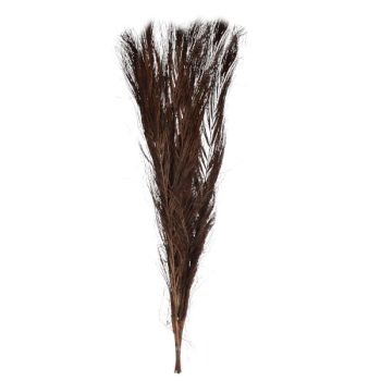 Follaje Seco 5Pcs 90Cm Brwon /Cod. 710-10376-21