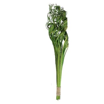 Ramo De Ting Curly 150Gm 70-75Cm Lemon Green /Cod. 710-10952-13