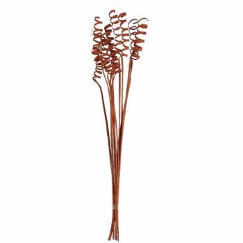 Ramo 10Pcs Cane Cone Spring 45Cm Dk Salmon /Cod. 710-10127-35D