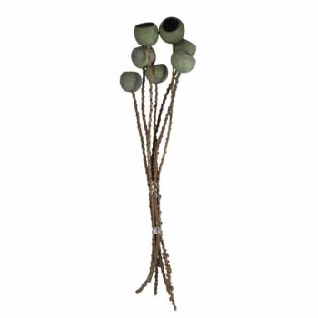 Ramo De Bell Cup 60Cm 7Pcs Olive Green /Cod. 710-10173-13O