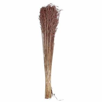 Avana Grass 75Cm 150Gm Alto Old Pink /Cod. 710-10333-10D