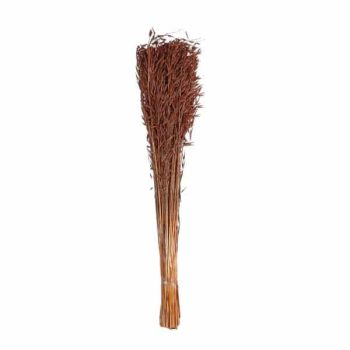 Avana Grass 85cm 150gm Alto Salmon /cod. 710-10333-35
