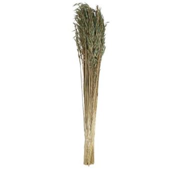 Avana Grass 75Cm 150Gm Alto Powder Blue /Cod. 710-10333-50L