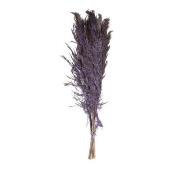 Pampas Wooly 9Pcs 70Cm Mauve /Cod. 710-10395-43