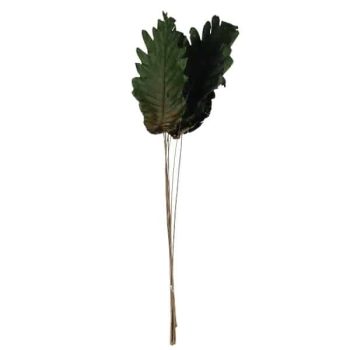 Follaje Hojas Secas 7Pcs 60Cm Green /Cod. 710-10478-40