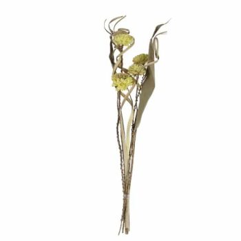 Ramo Flores Secas 5Pcs 6Cm Altura 60Cm Pastel Yellow /Cod. 710-10833-18L