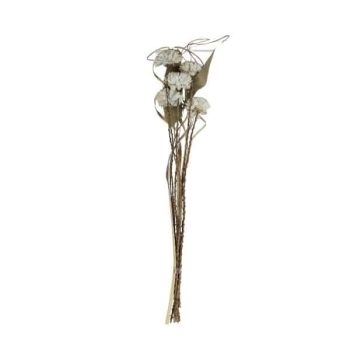 Ramo Flores Secas 5Pcs 6Cm Altura 60Cm Powder Blue /Cod. 710-10833-50L