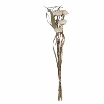 Ramo Flores Secas 5Pcs 6Cm Altura 60Cm Bleached /Cod. 710-10833-68