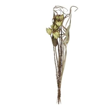 Ramo De Flores Secas 5Pcs De 6Cm Altura 60Cm Pastel Yellow /Cod. 710-10834-18L