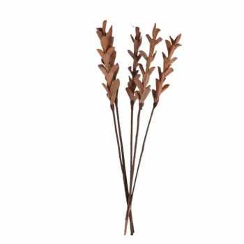 Flor Seca 5Pcs Altura 60Cm Dk Salmon /Cod. 710-10119-35D