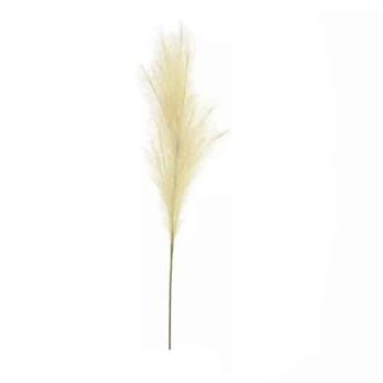 Pampa Grass L:105cm Ivory /cod. 200-0047232-02