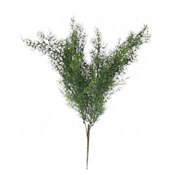 Rama Cipress L:60Cm Green /Cod. 200-0047273-63