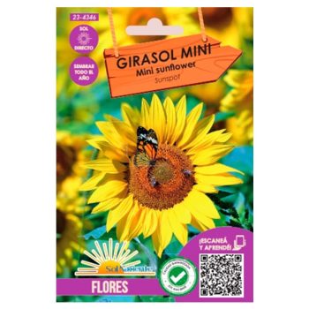 Semillas Girasol Mini Sunspot # 4346 /Cod. 23-4346