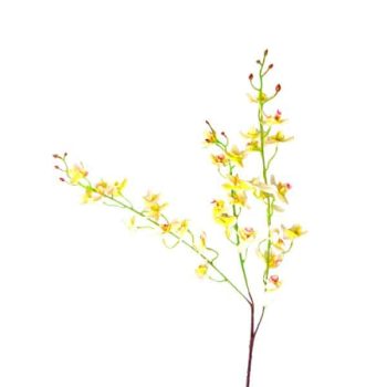 Rama Mini Orquideas White /cod. 200-wro-68