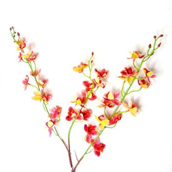 Rama Mini Orquideas White Purple /cod. 200-wro-6858