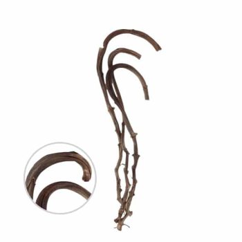 Ramo De 3 Ramas Natural 70Cm /Cod. 710-10360-00
