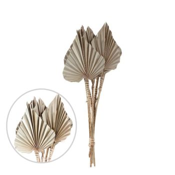Hoja Palm Spear 7Pcs 55Cm Natural /Cod. 710-10983-00