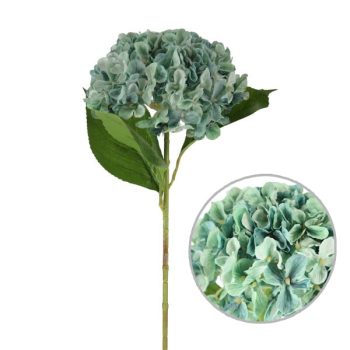 Hortencia Mud Green 66Cm /COD. 200-9191-4-40M