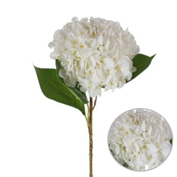 Hortencia White 66Cm /Cod. 200-9191-4-68
