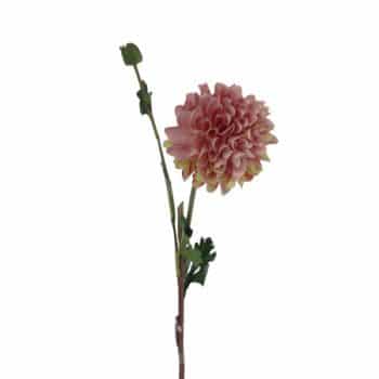 DALIA SEDA C/BOTON PINK /COD. 200-W3261-10