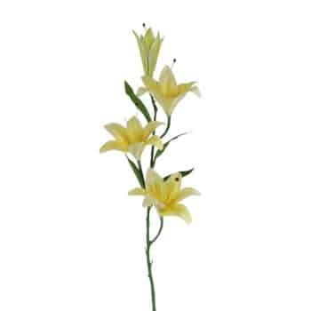 Rama Lily 100Cm Yellow /Cod. 200-A102-1-18