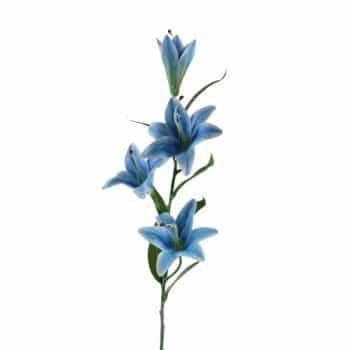 Rama Lily 100Cm Lt Blue /Cod. 200-A102-1-25