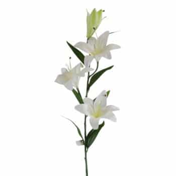 Rama Lily 100Cm White /Cod. 200-A102-1-68