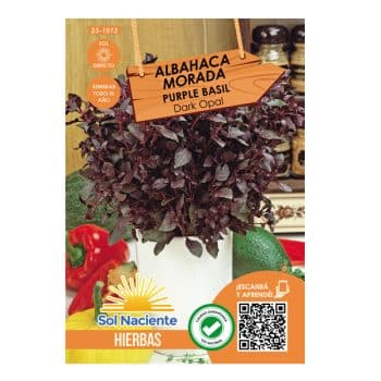 Semillas Albahaca Morada (Dark Opal) #1012 /Cod. 23-1012