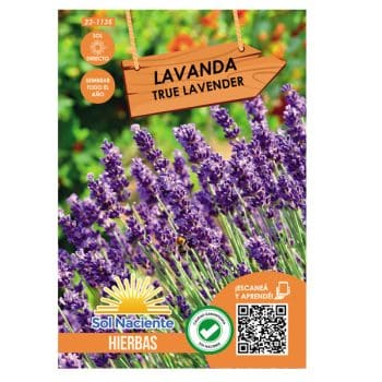Semillas Lavanda #1135 /Cod. 23-1135
