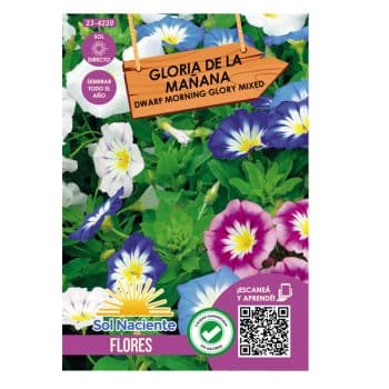 Semillas Gloria De La Mañana (Convulvulus Tricolor) Mix # 4220 /Cod. 23-4220