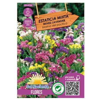 Semillas Estaticia (Limonium) Pacific Mix # 4725 /Cod. 23-4725