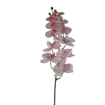 Rama Orquidea 100Cm White Purple /COD. 200-E3-0-6858